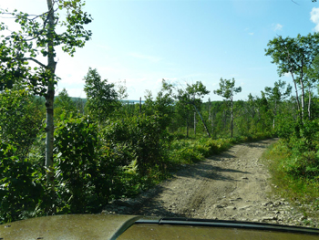 Illustration for article titled Off-Road Trails And Games Of Grab-Ass: A Look At Hummer's Bright Side